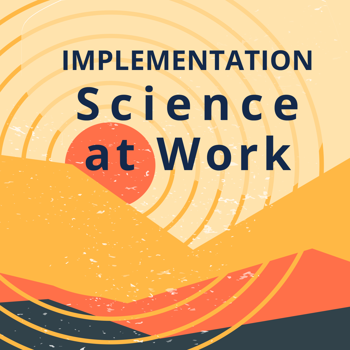 Implementation Science at Work